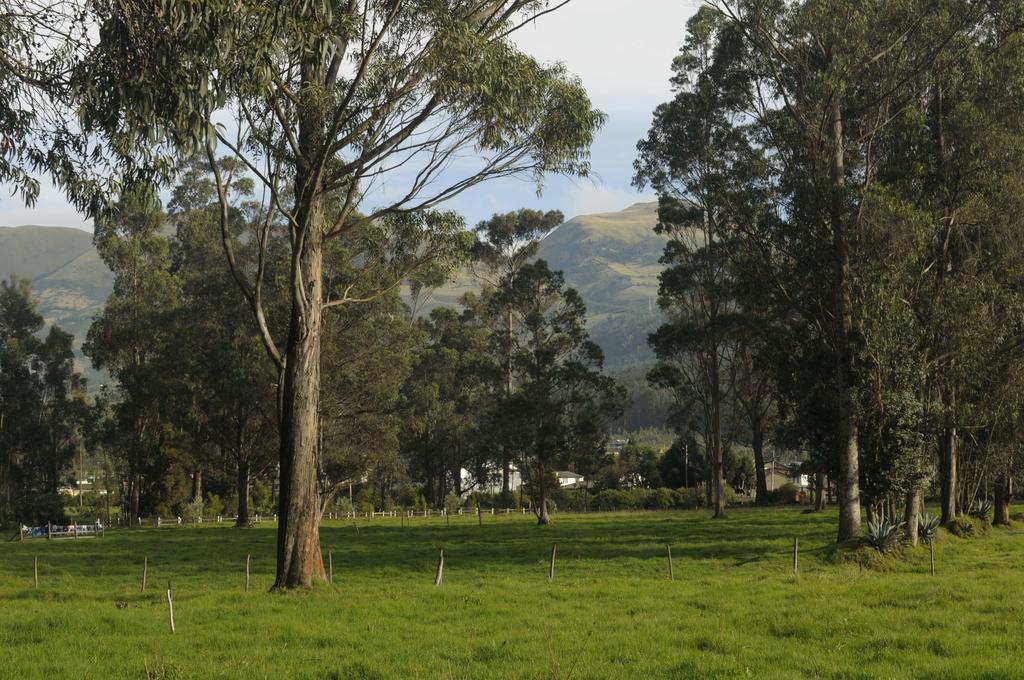 Molino San Juan Bed and Breakfast Cayambe Buitenkant foto
