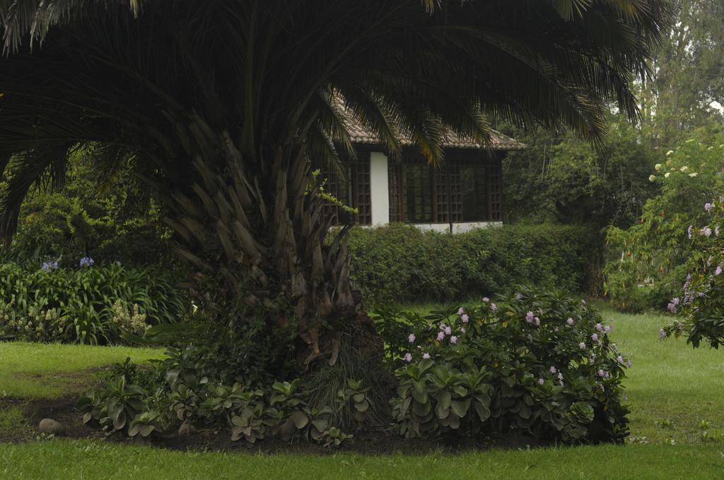 Molino San Juan Bed and Breakfast Cayambe Buitenkant foto
