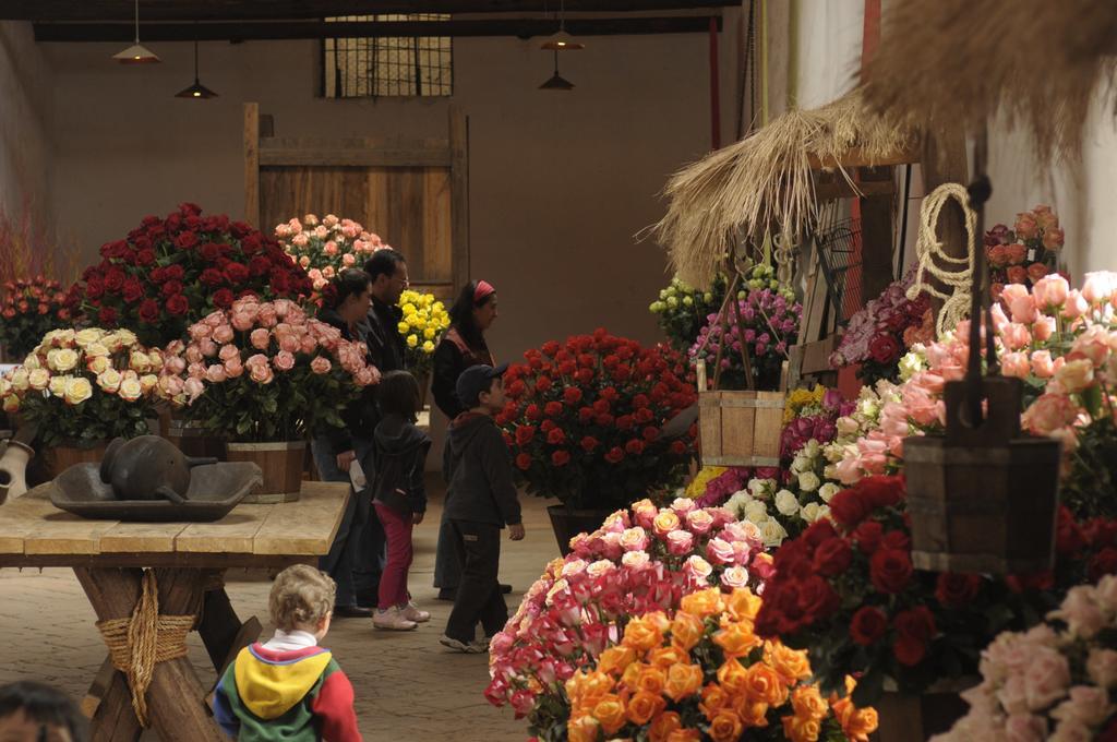 Molino San Juan Bed and Breakfast Cayambe Buitenkant foto